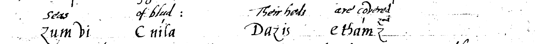 Zum bi, in Dee's hand